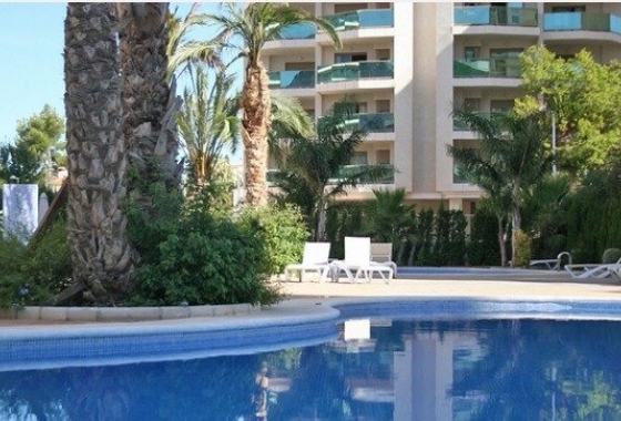 New Build - Apartment - Calpe - Calalga