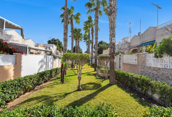 Rynek wtórny - Apartament - Torrevieja - Lago Jardin