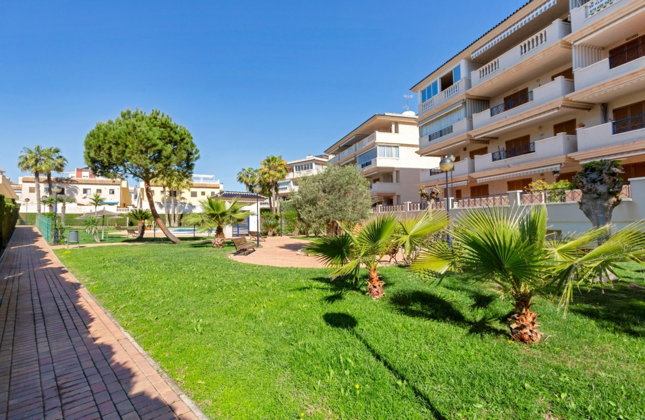 Reventa - Apartment - Torrevieja - La Mata