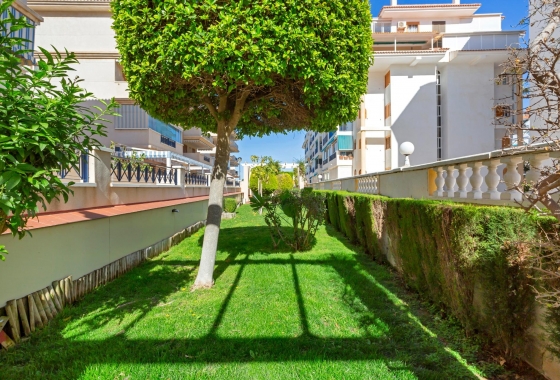 Reventa - Apartment - Torrevieja - La Mata