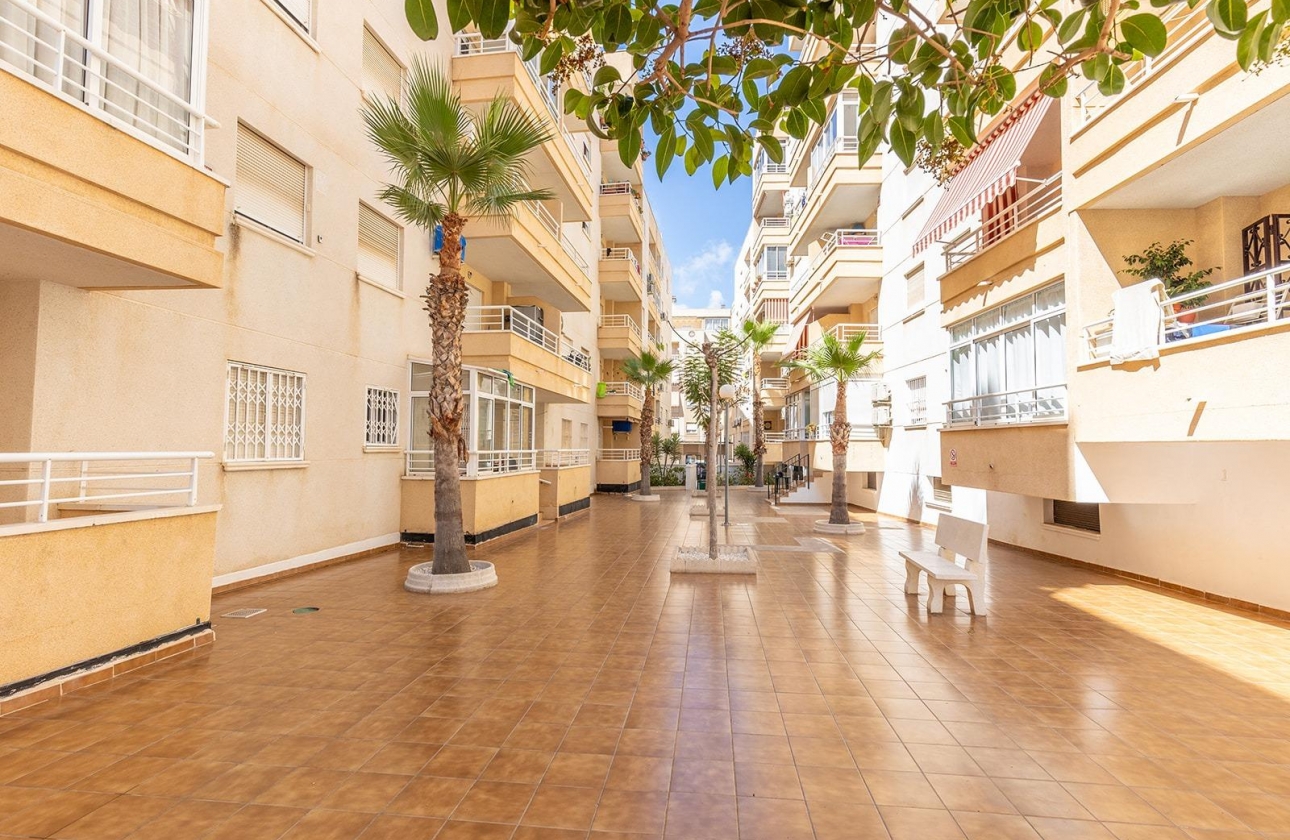 Rynek wtórny - Apartament - Torrevieja - Estacion de autobuses