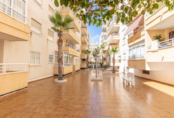 Rynek wtórny - Apartament - Torrevieja - Estacion de autobuses