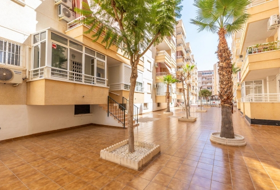 Rynek wtórny - Apartament - Torrevieja - Estacion de autobuses