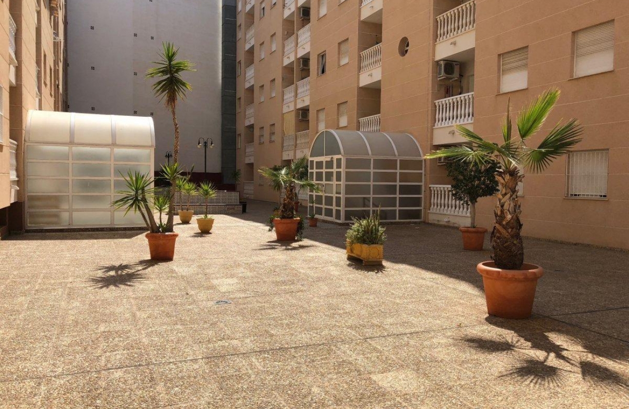 Rynek wtórny - Apartament - Torrevieja - Estacion de autobuses