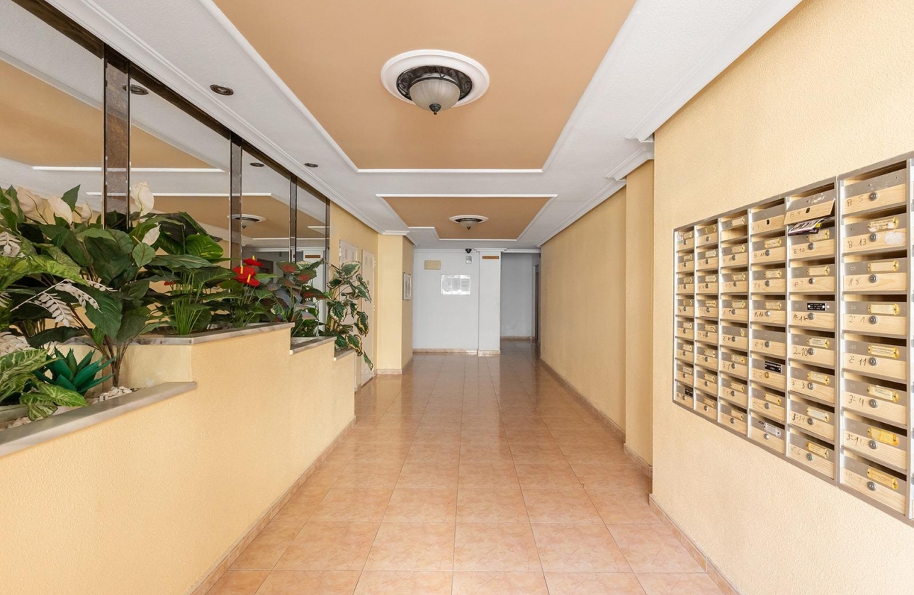 Rynek wtórny - Apartament - Torrevieja