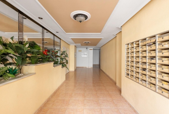 Rynek wtórny - Apartament - Torrevieja