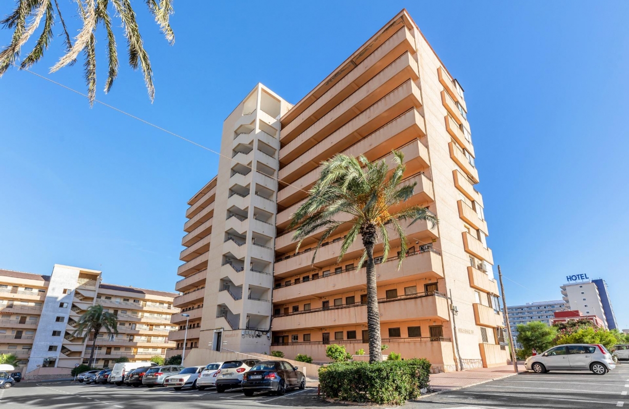 Resale - Apartment - Torrevieja - Cabo cervera