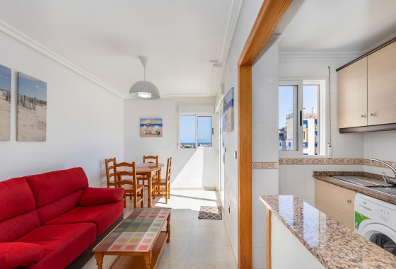 Rynek wtórny - Penthouse - Torrevieja - Nueva Torrevieja