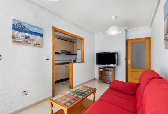 Rynek wtórny - Penthouse - Torrevieja - Nueva Torrevieja