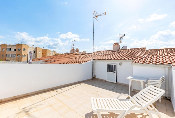 Rynek wtórny - Bungalow - Torrevieja - San Luis