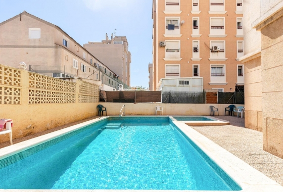 Rynek wtórny - Apartament - Torrevieja - Nueva Torrevieja