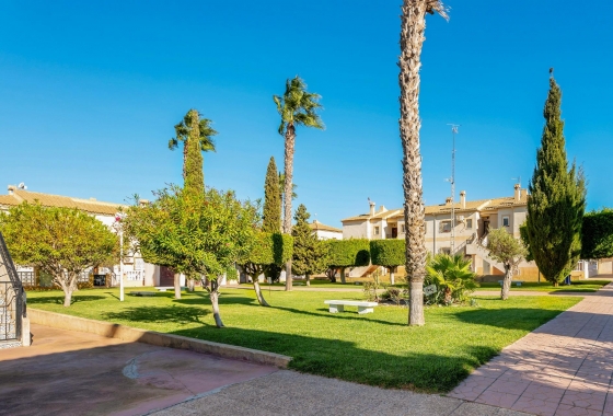 Rynek wtórny - Bungalow - Torrevieja - Aguas Nuevas