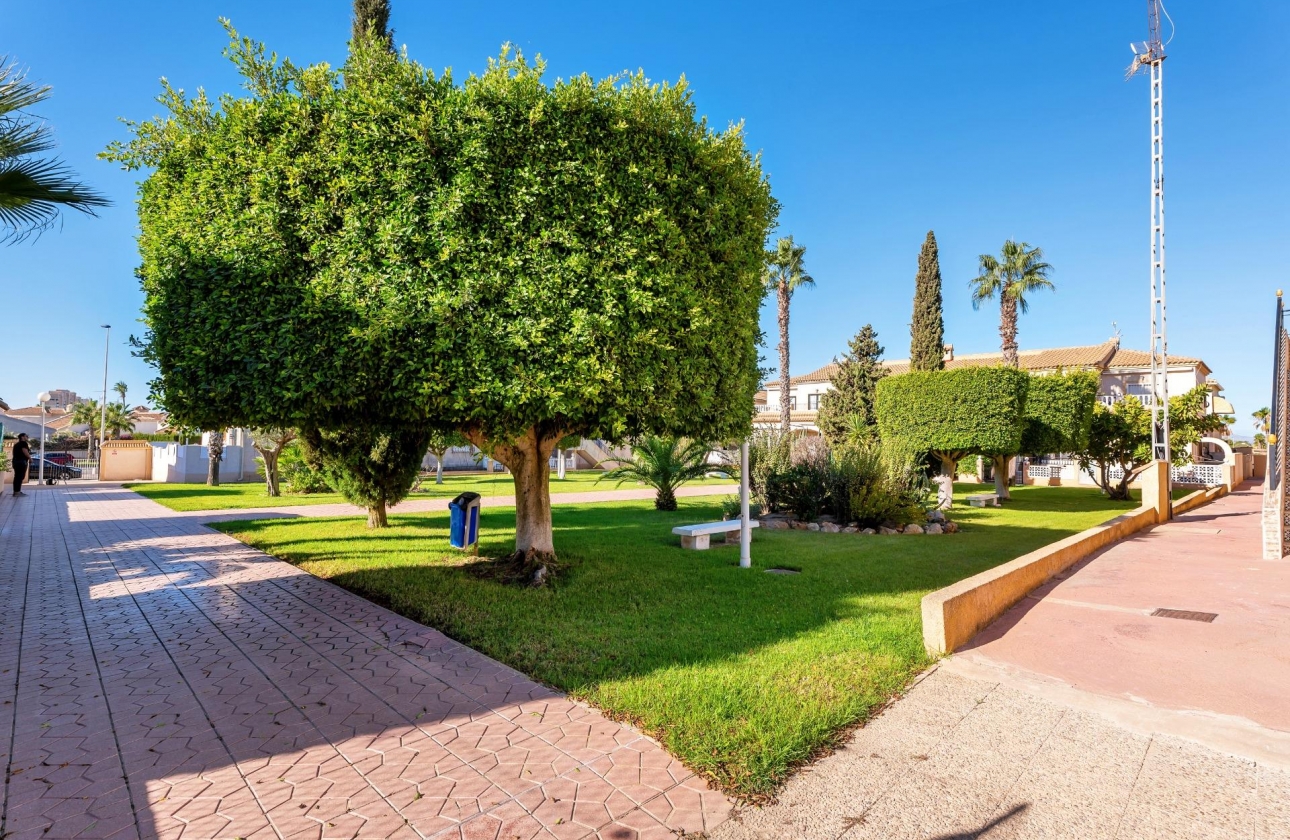 Rynek wtórny - Bungalow - Torrevieja - Aguas Nuevas