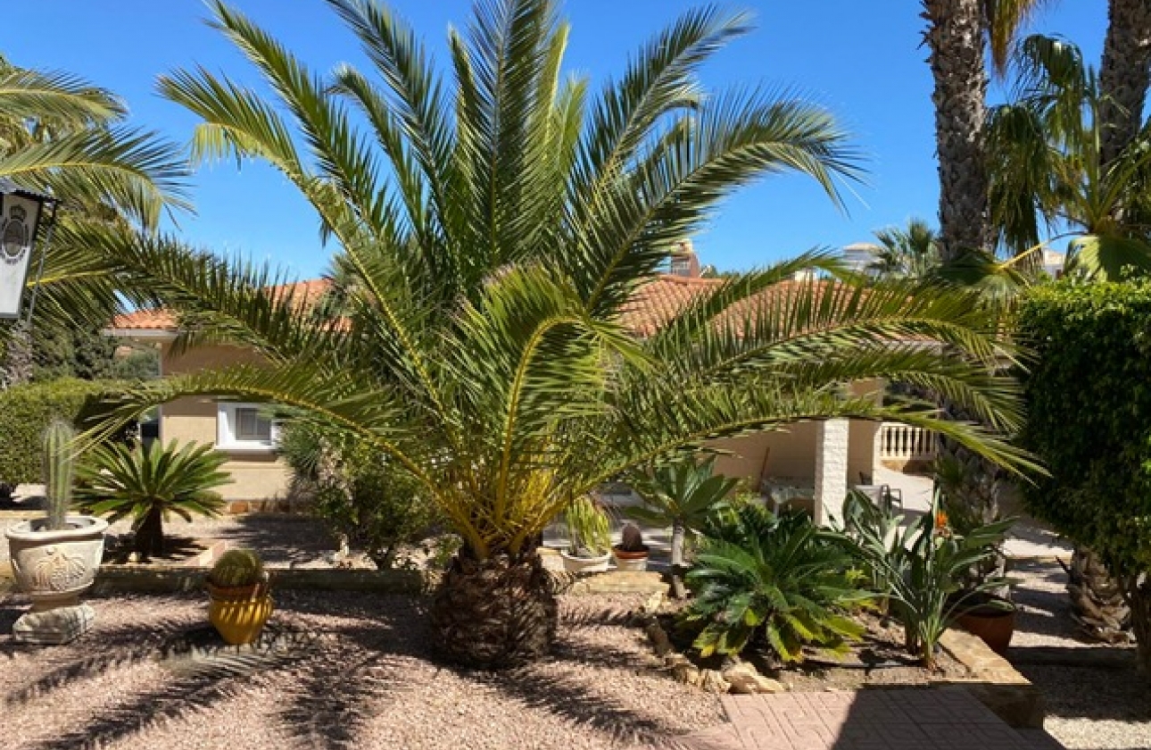 Resale - Villa - San Miguel de Salinas - El Galán