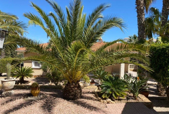 Resale - Villa - San Miguel de Salinas - El Galán