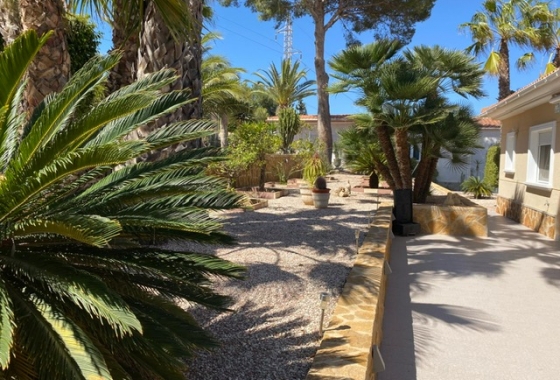 Resale - Villa - San Miguel de Salinas - El Galán