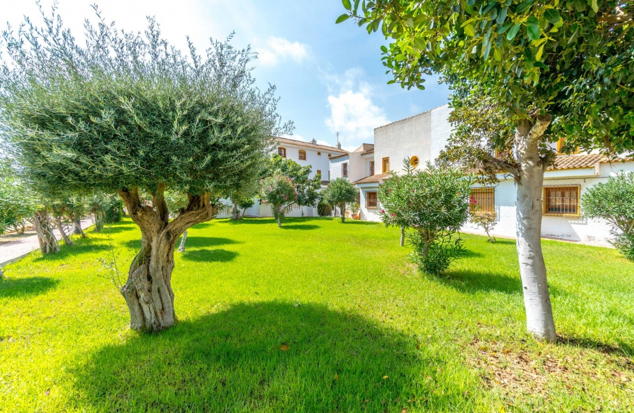 Rynek wtórny - Villa - Torrevieja - Los altos