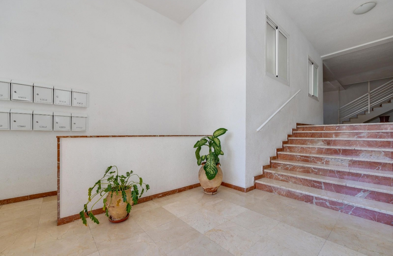 Rynek wtórny - Apartament - San Pedro del Pinatar