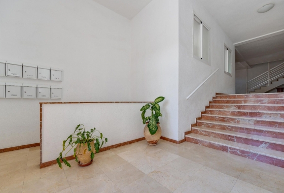 Rynek wtórny - Apartament - San Pedro del Pinatar
