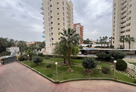 Resale - Apartment - Torrevieja - La Veleta