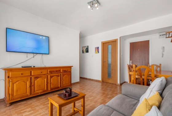 Reventa - Apartment - Torrevieja - Estacion de autobuses