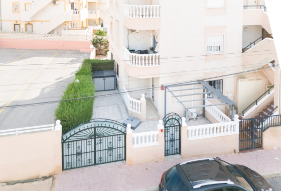 Resale - Apartment - Ground Floor Apartment - Torrevieja - Los Frutales