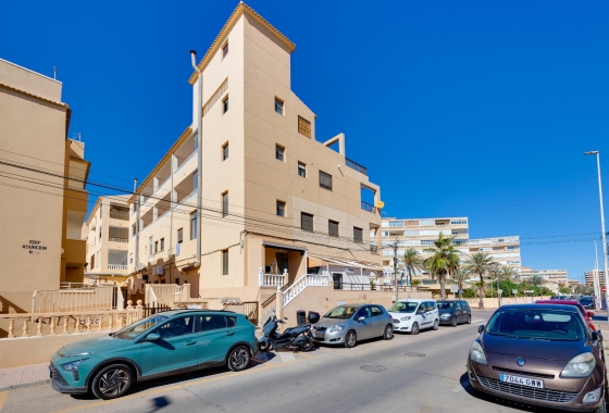 Reventa - Apartment - Torrevieja - La Mata