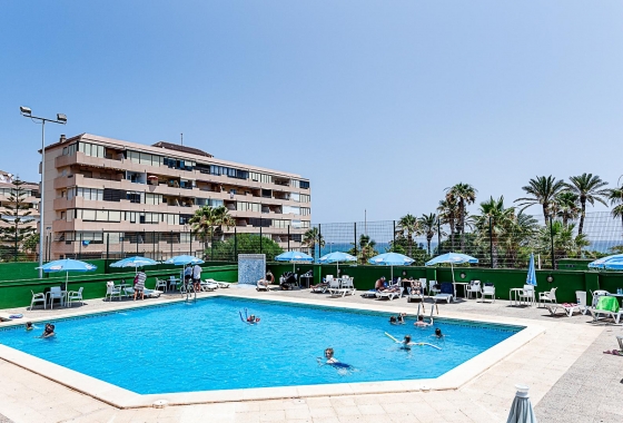 Reventa - Apartment - Torrevieja - Cabo cervera