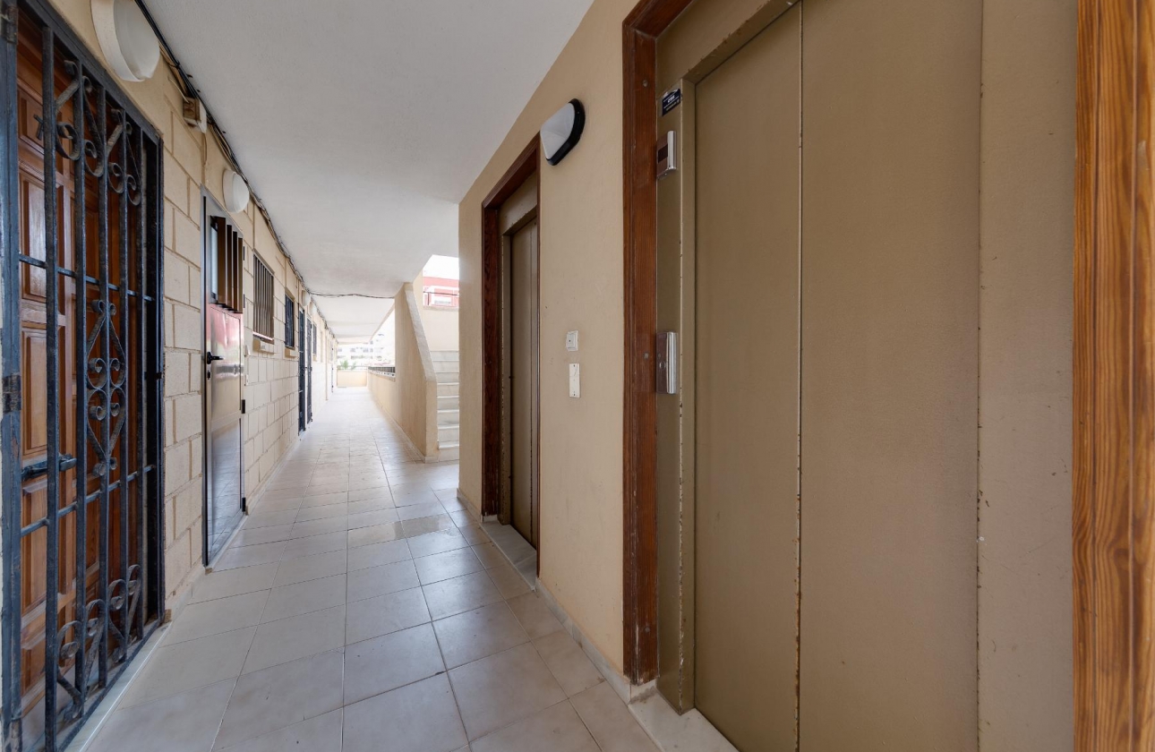 Reventa - Apartment - Torrevieja - Cabo cervera