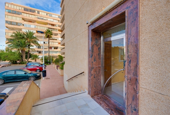 Reventa - Apartment - Torrevieja - Cabo cervera