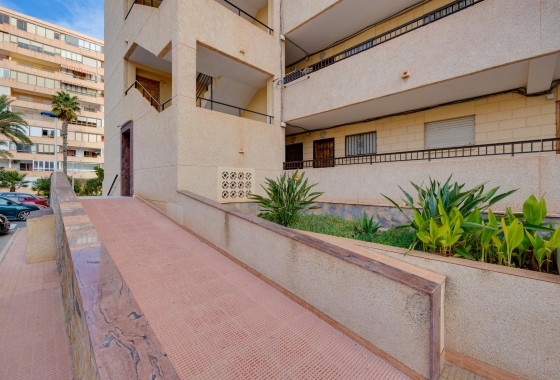 Reventa - Apartment - Torrevieja - Cabo cervera