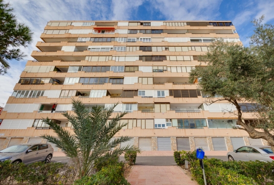 Reventa - Apartment - Torrevieja - Cabo cervera