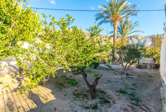 Reventa - Country House - Orihuela - Raiguero de Bonanza