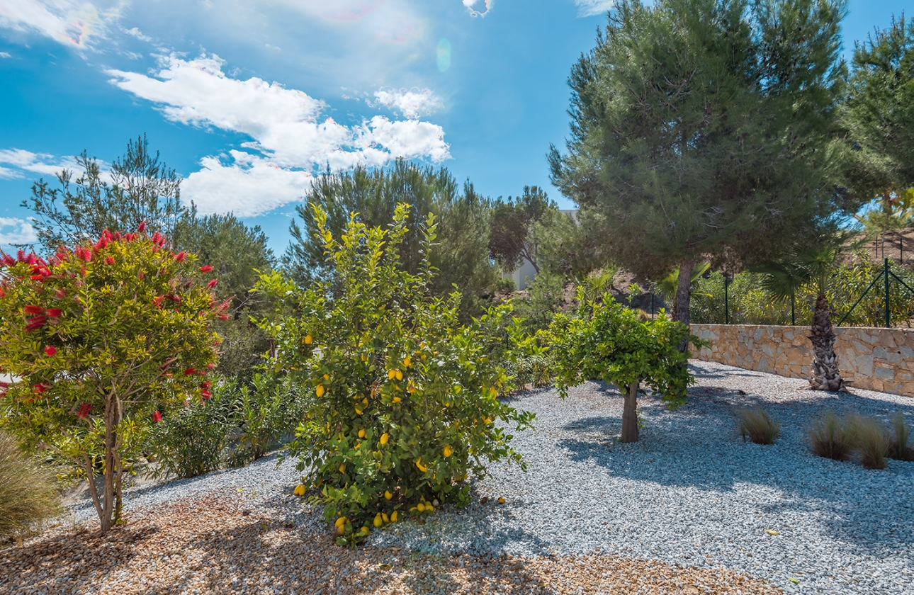 Rynek wtórny - Villa - Orihuela Costa - Las Colinas Golf