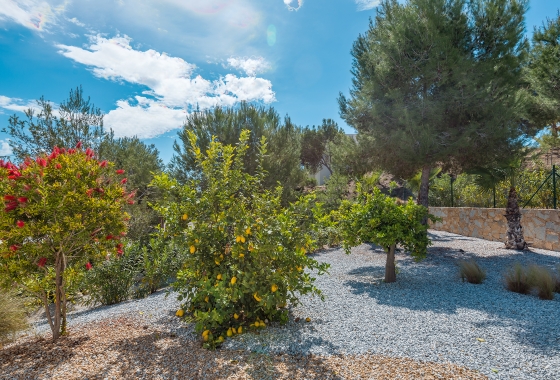 Rynek wtórny - Villa - Orihuela Costa - Las Colinas Golf