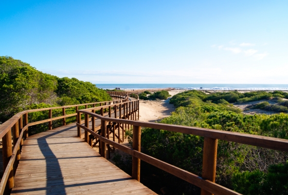 Rynek pierwotny - Szeregowiec - Santa Pola - Gran Alacant