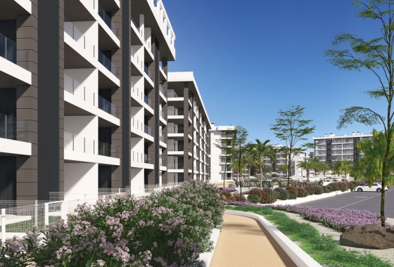 Rynek pierwotny - Apartament - Torrevieja - La Mata