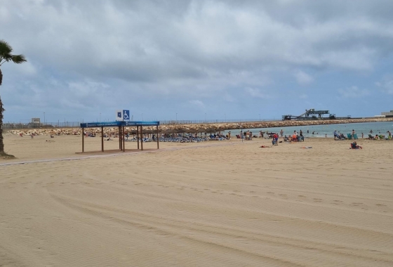 Rynek wtórny - Apartament - Torrevieja - Playa De Los Naufragos