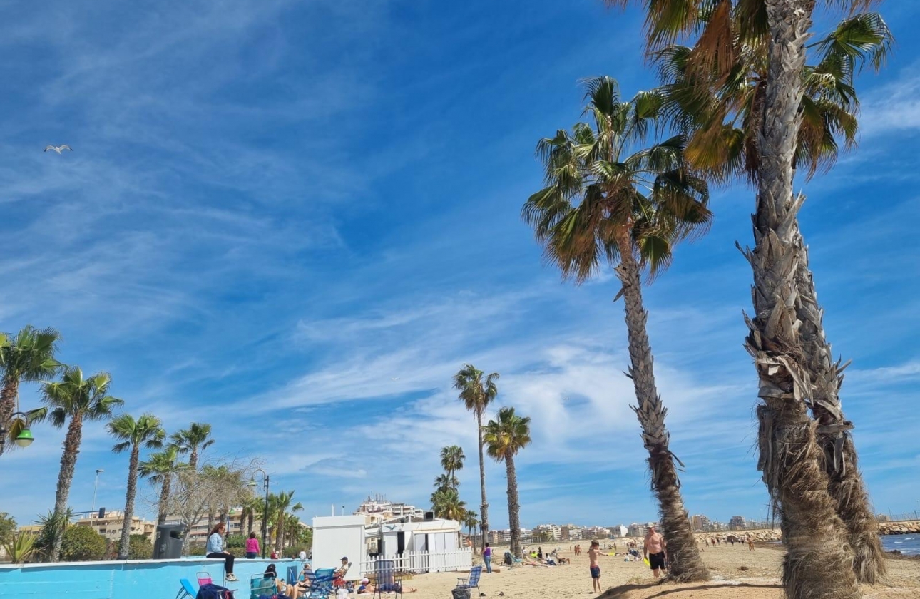Rynek wtórny - Apartament - Torrevieja - Playa De Los Naufragos