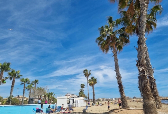 Rynek wtórny - Apartament - Torrevieja - Playa De Los Naufragos