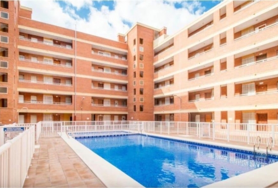 Rynek wtórny - Apartament - Torrevieja - Playa De Los Naufragos