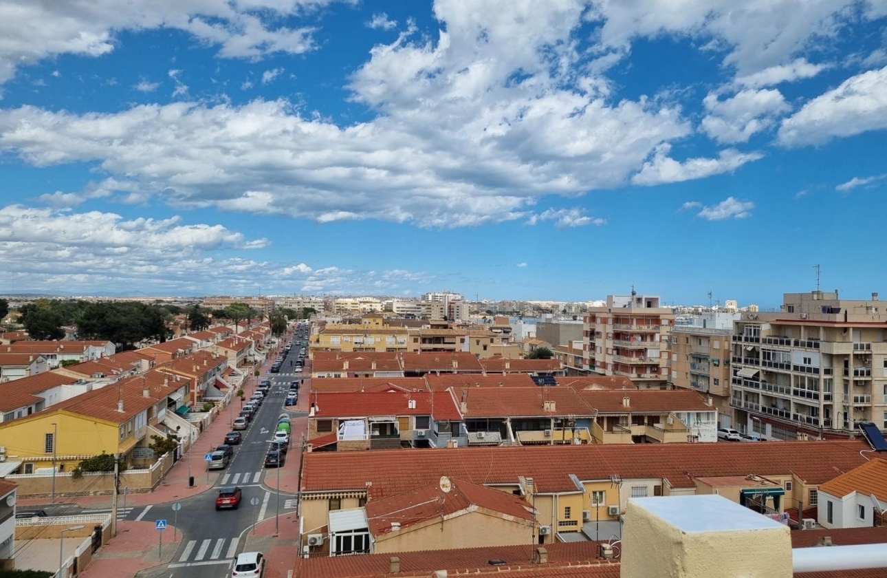Rynek wtórny - Apartament - Torrevieja - Playa De Los Naufragos