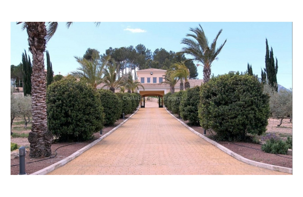 Reventa - Villa - Penàguila