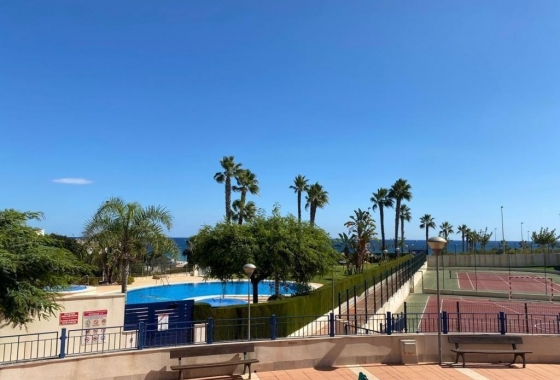 Rynek wtórny - Apartament - Torre de la Horadada - Mil Palmeras