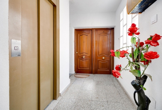 Reventa - Ático - Orihuela Costa - Orihuela-Costa