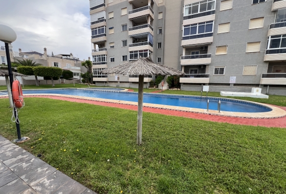 Rynek wtórny - Szeregowiec - Torrevieja - Torreblanca