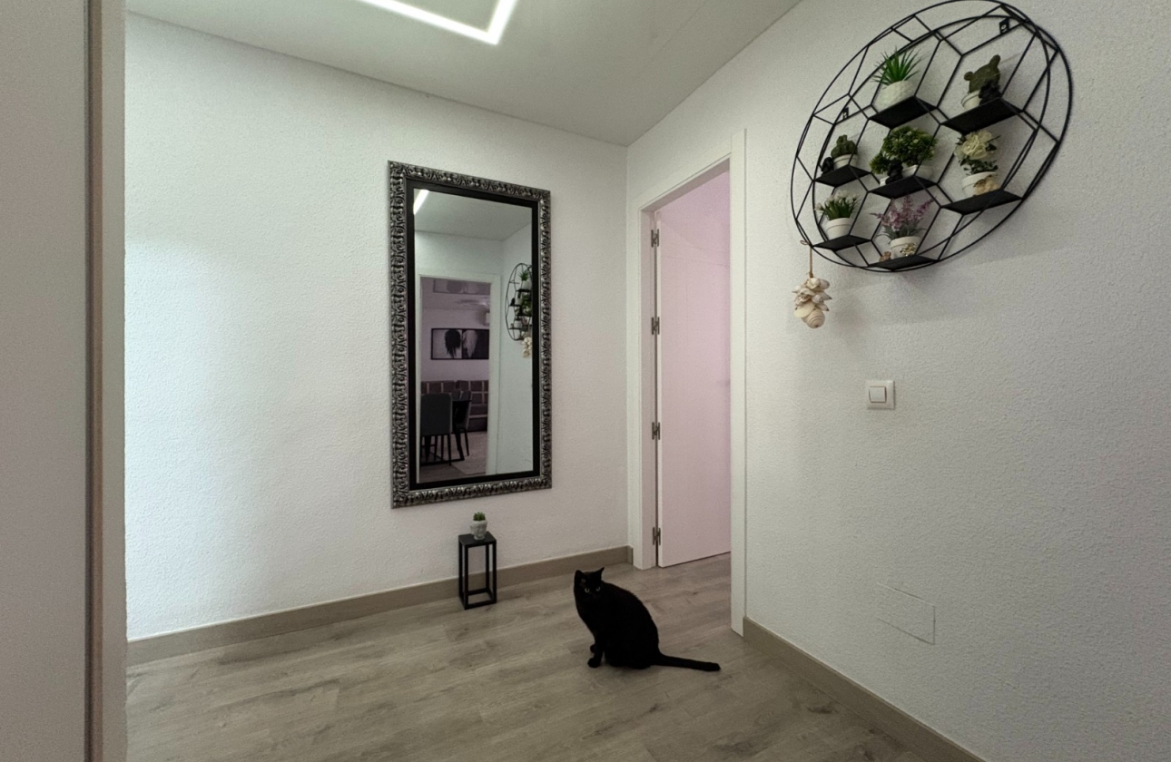 Rynek wtórny - Apartament - Torrevieja - Centro