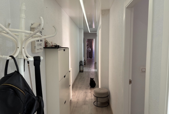 Rynek wtórny - Apartament - Torrevieja - Centro