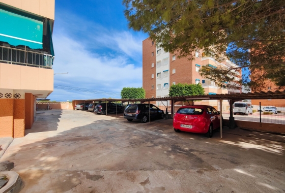 Rynek wtórny - Apartament - Orihuela Costa