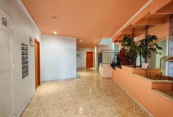 Reventa - Apartment - Torrevieja
